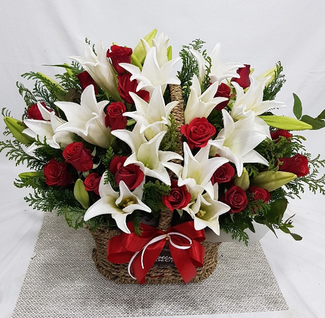 ST-A919