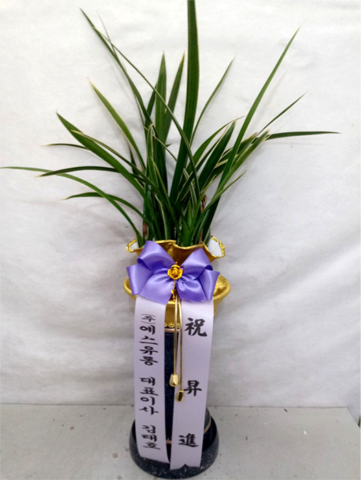 ST-E490