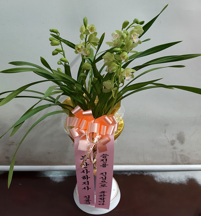 ST-E534