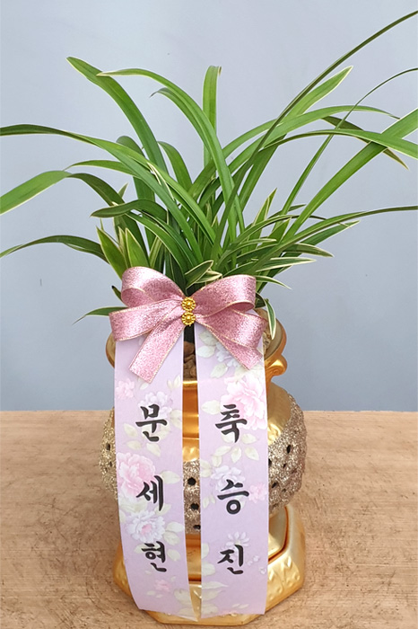 ST-E510