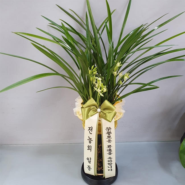 ST-E306