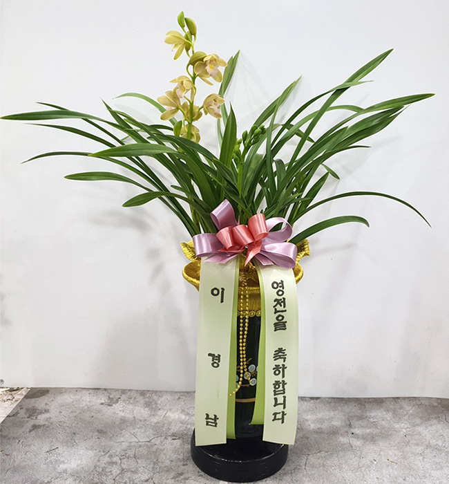 ST-E534
