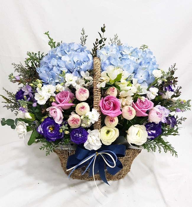 ST-A1661