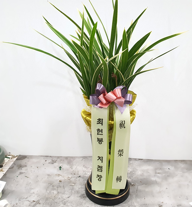ST-E406