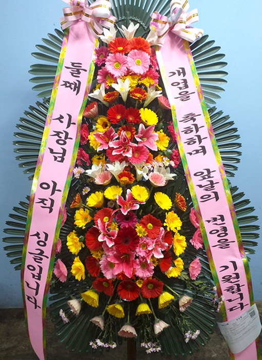 ST-FA248