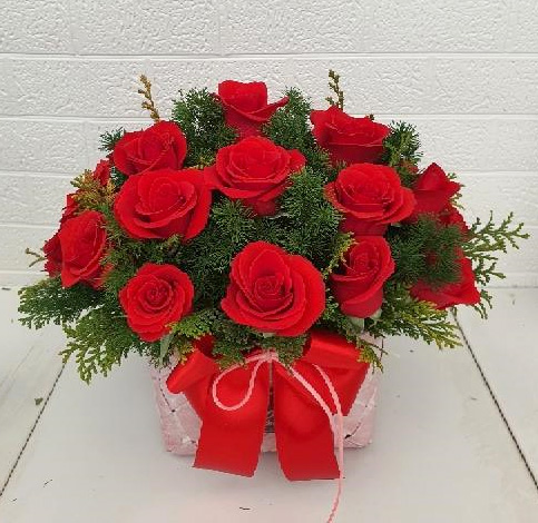 ST-A1452