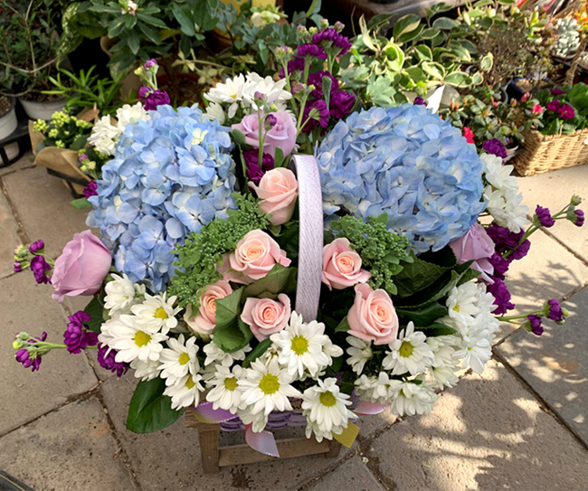 ST-A1661