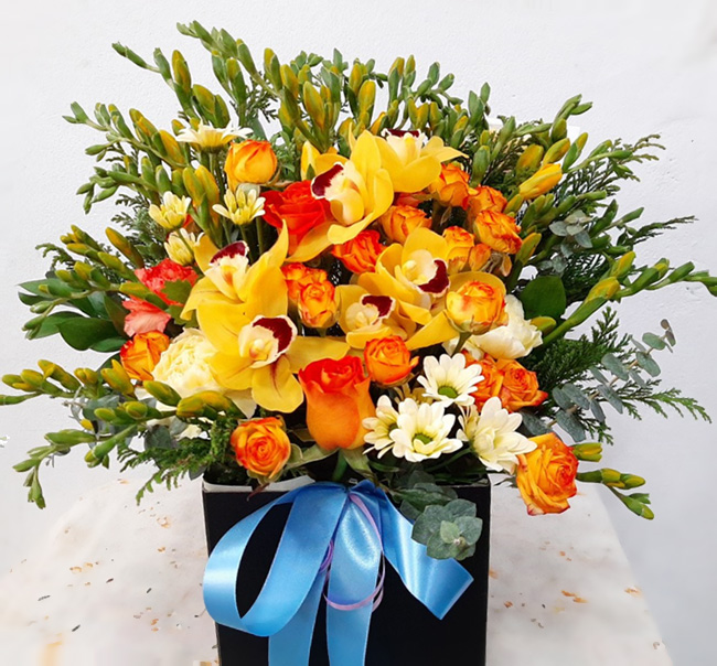 ST-B415