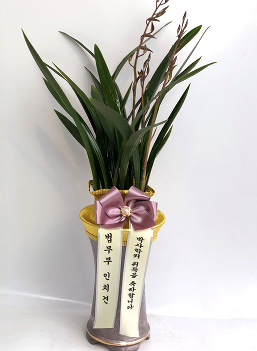 ST-E479