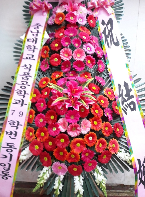 ST-FA248
