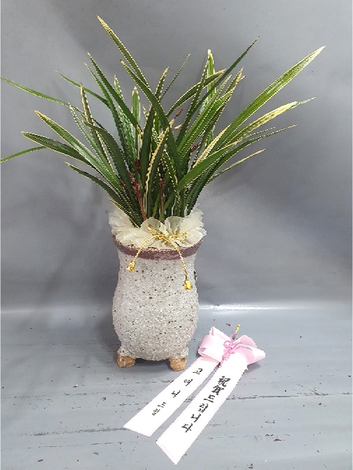 ST-E312