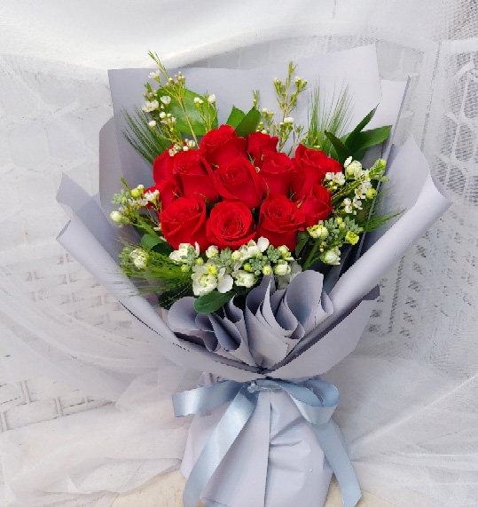 ST-C565