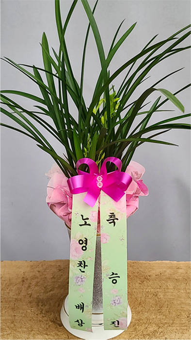 ST-E479