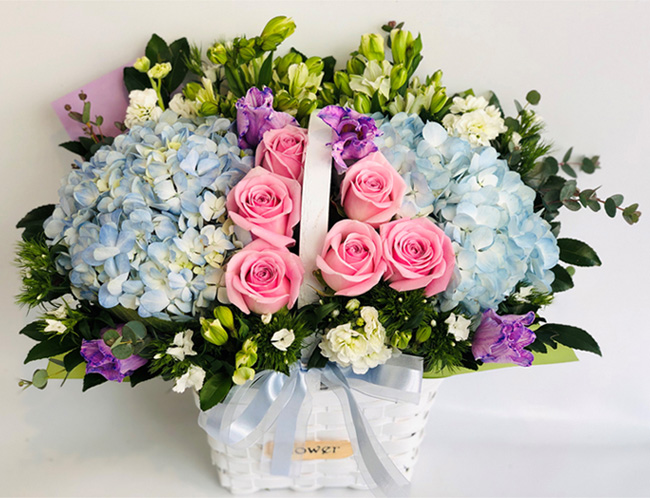 ST-A1661