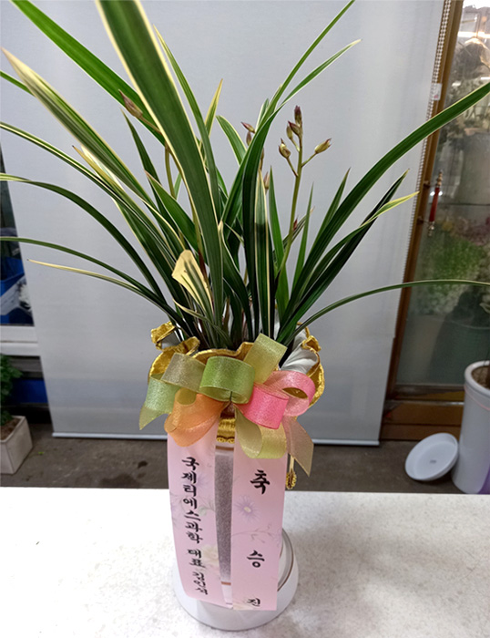 ST-E531