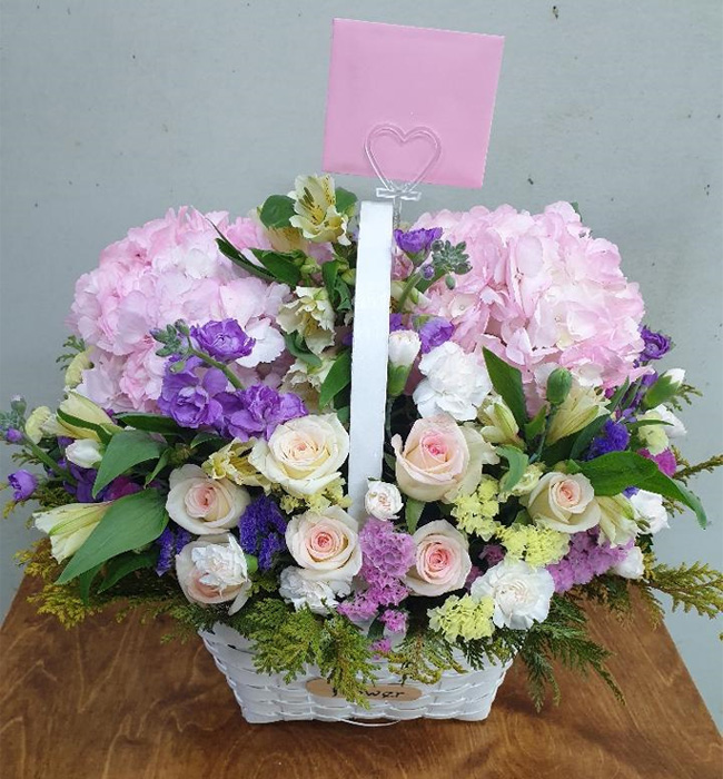 ST-A1900