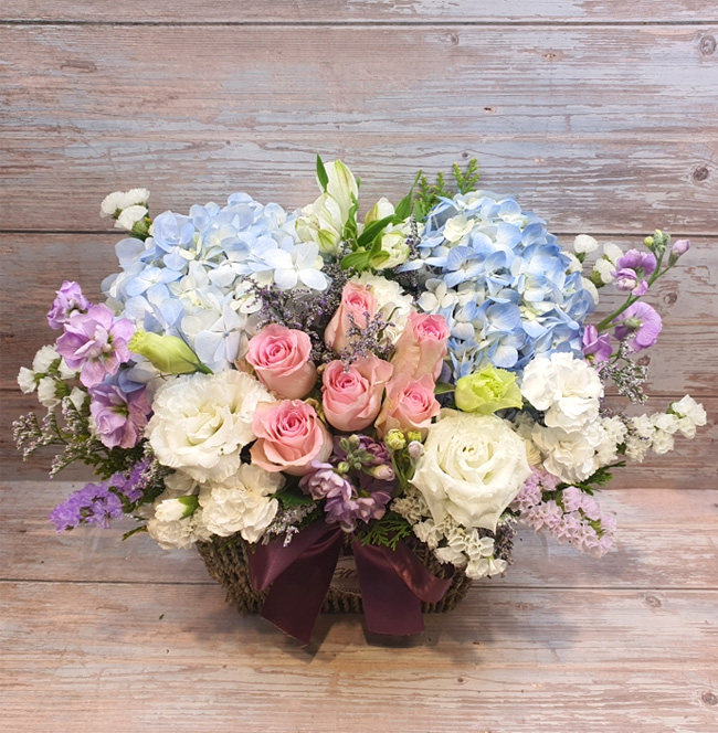 ST-A1661