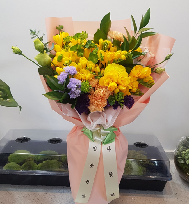 ST-C536