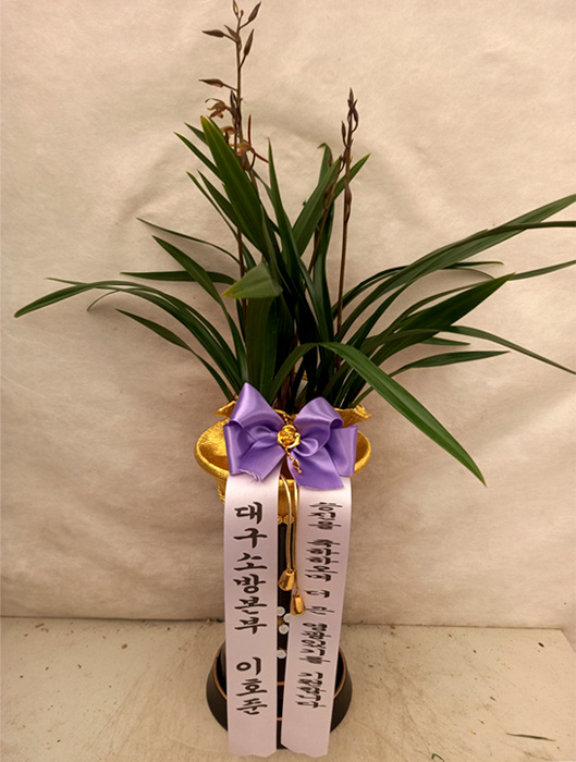 ST-E534