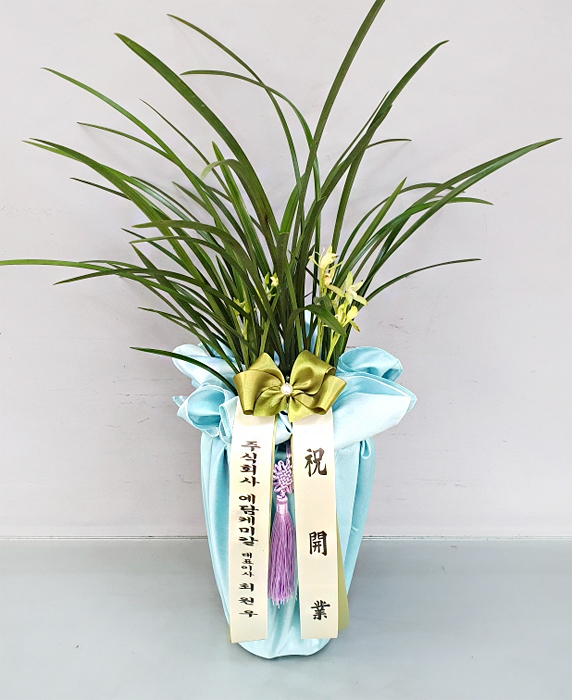 ST-E531