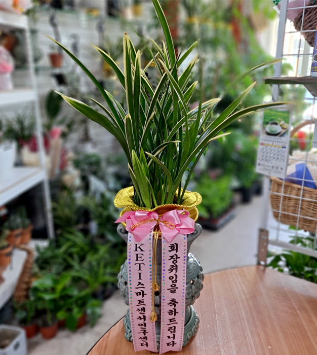 ST-E274
