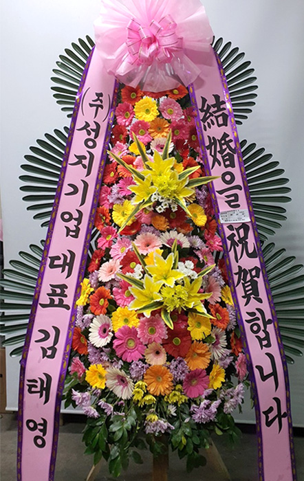 ST-FA248