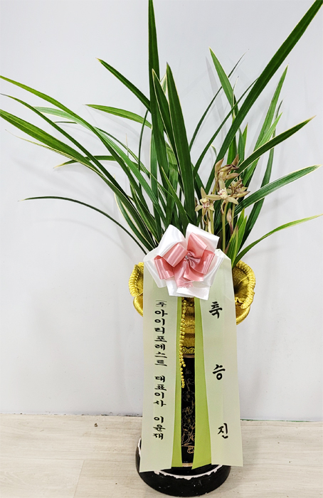 ST-E479