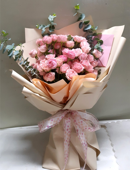 ST-C484