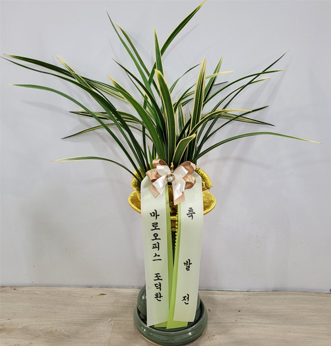 ST-E488