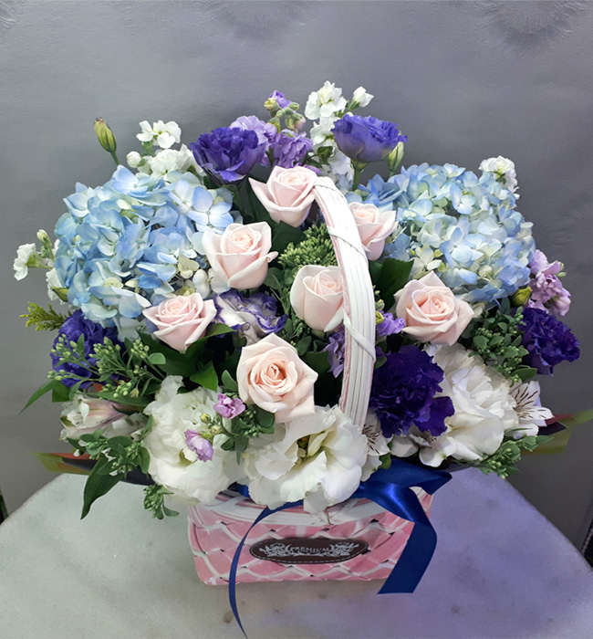ST-A1661