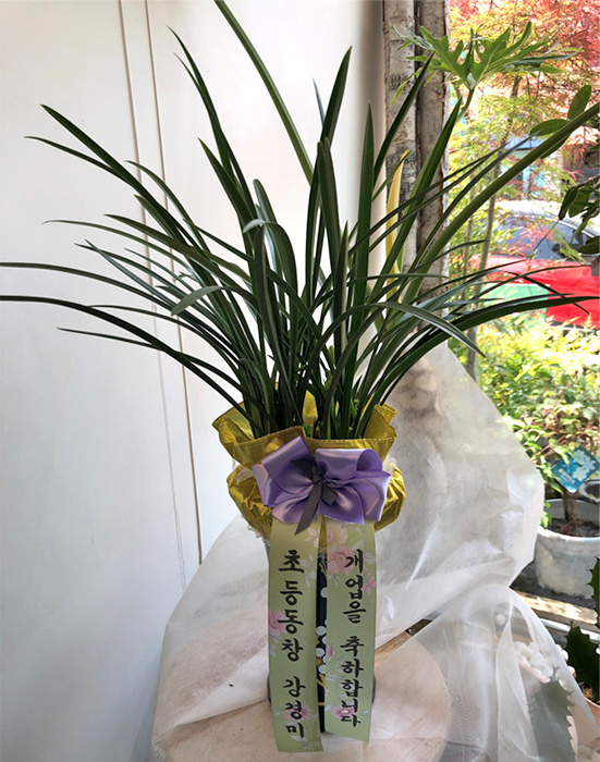 ST-E370
