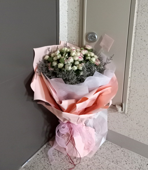 ST-C586