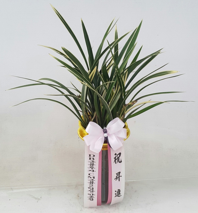 ST-E488