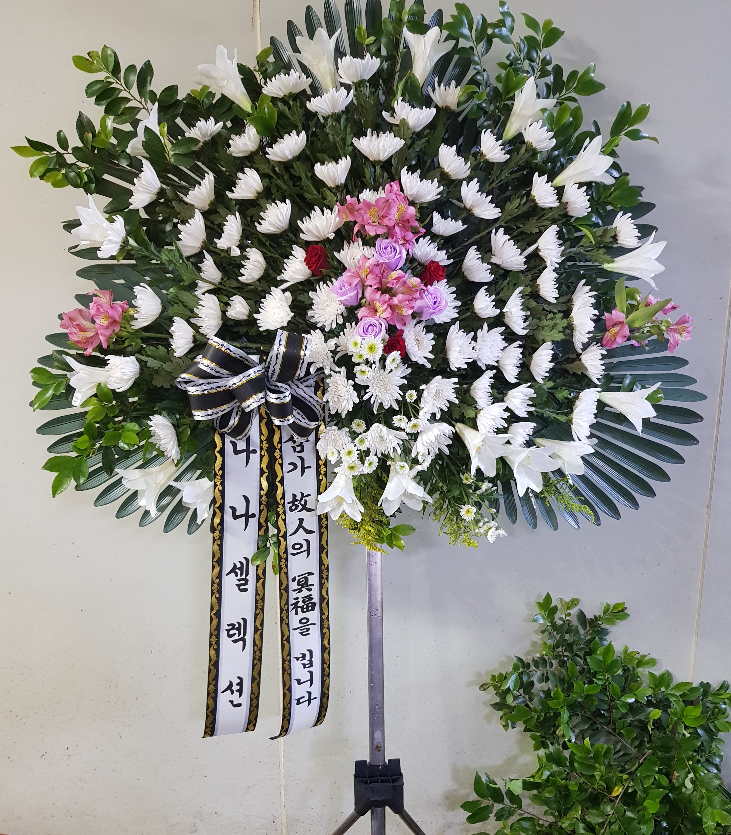 ST-FB222