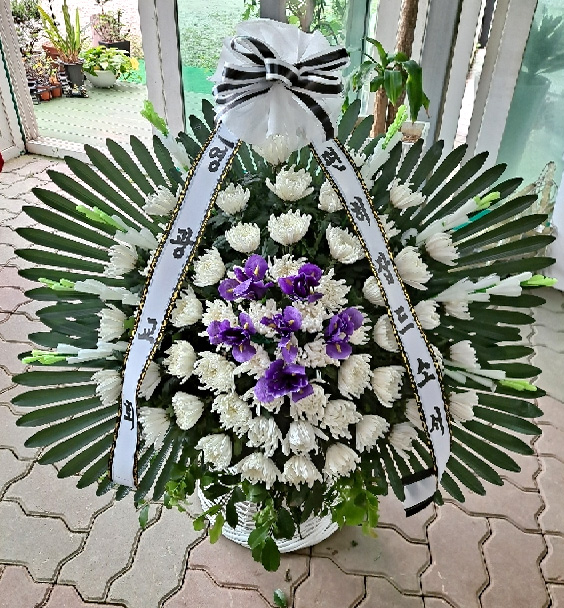 ST-FB255