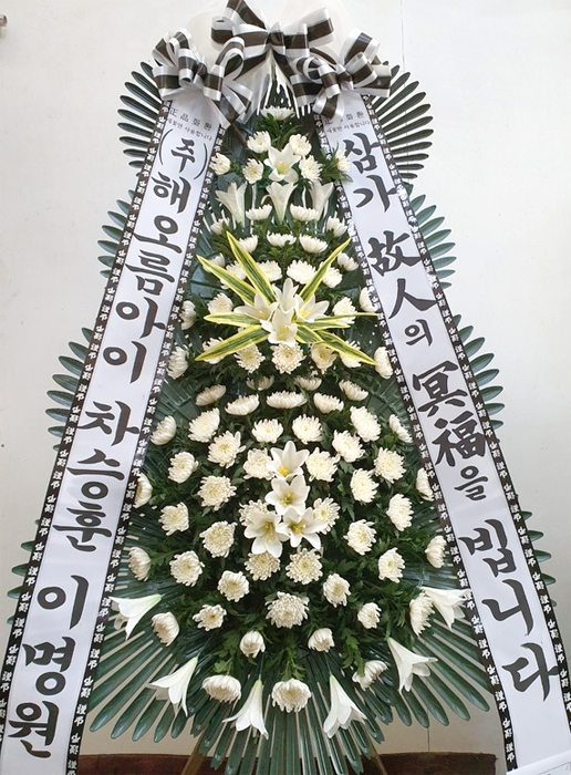 ST-FB226