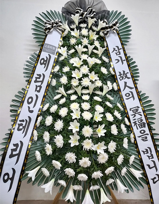ST-FB226