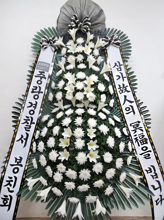 ST-FB226