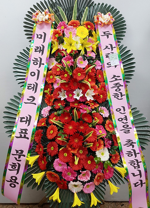 ST-FA248