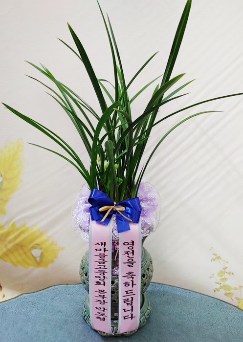 ST-E531