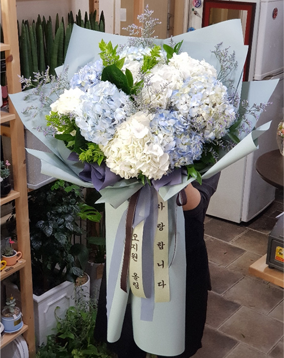 ST-C570