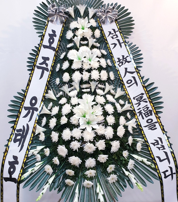 ST-FB233