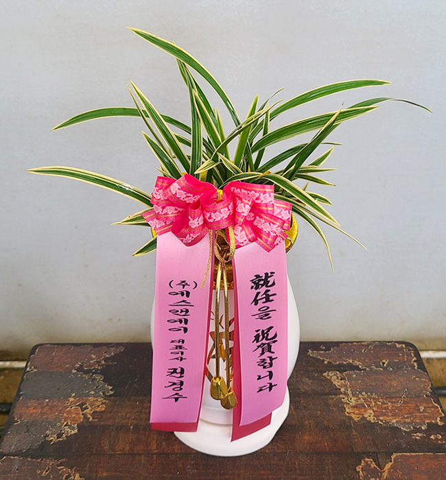 ST-E533