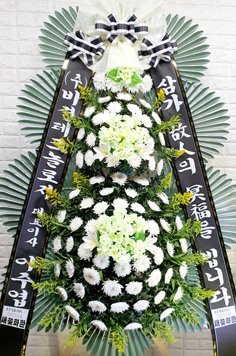 ST-FB252