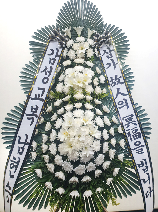 ST-FB226