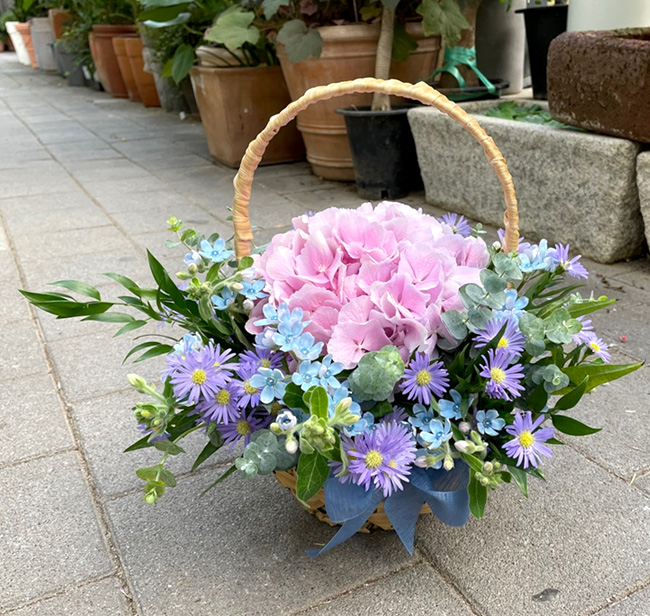 ST-B423