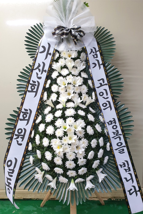 ST-FB226