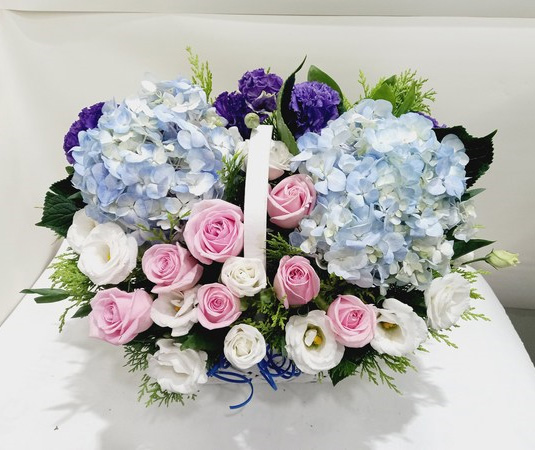 ST-A1661