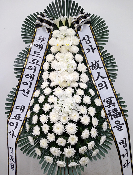 ST-FB251