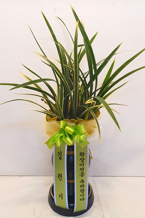 ST-E051